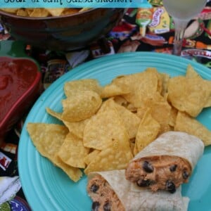 Chicken burrito with chips on the side on a teal plate