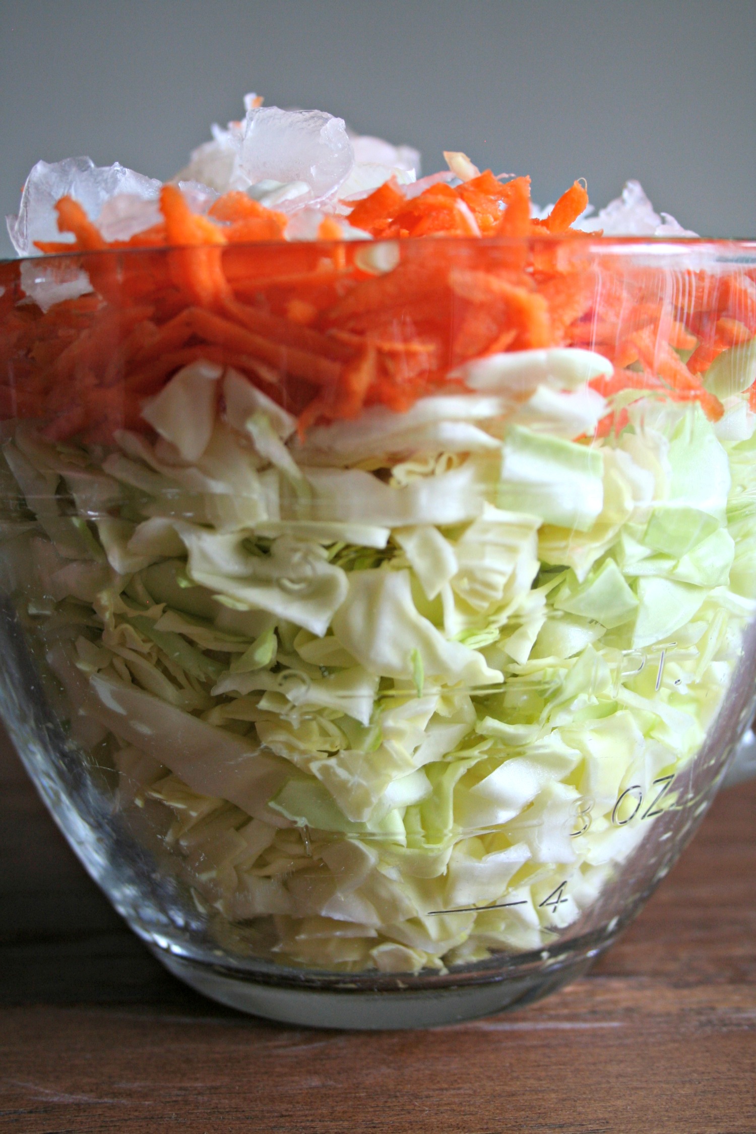 horseradish coleslaw in bowl before mixing.
