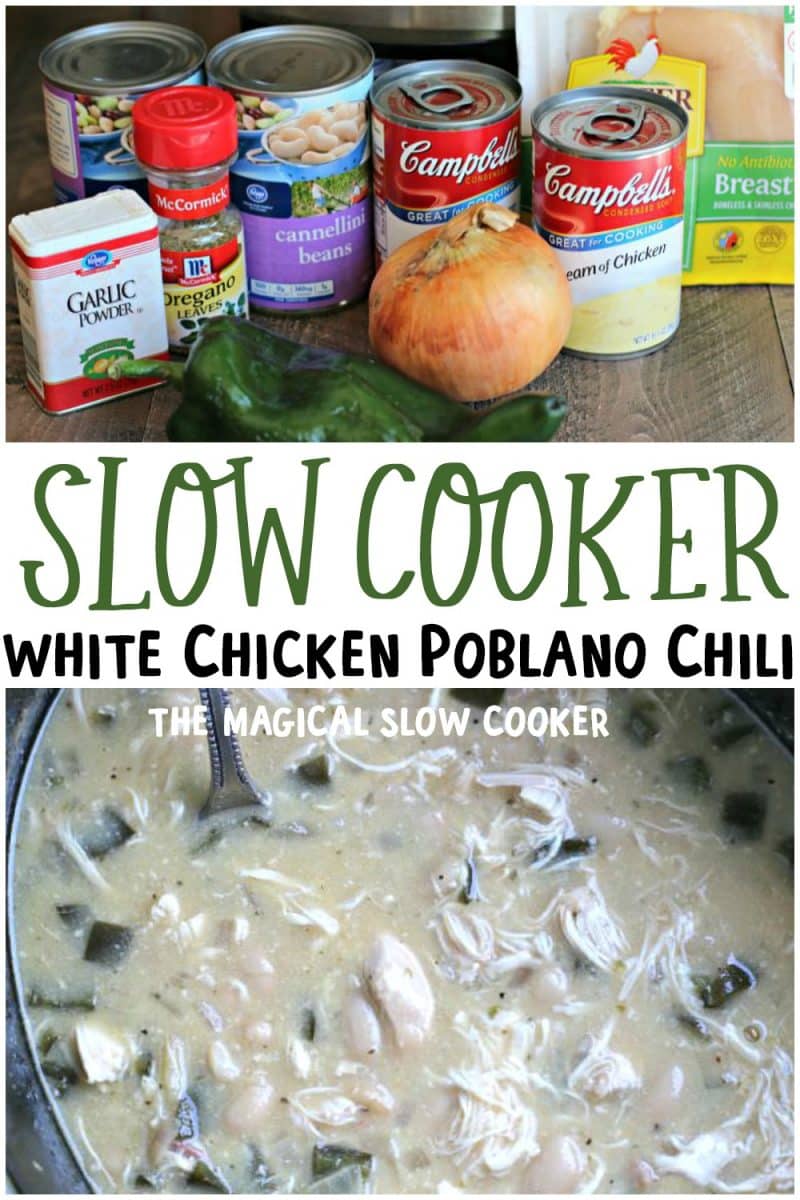 Crockpot White Chicken Poblano Chili - Peyton's Momma™