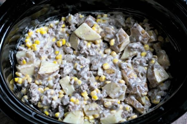 hamburger hash before cooking