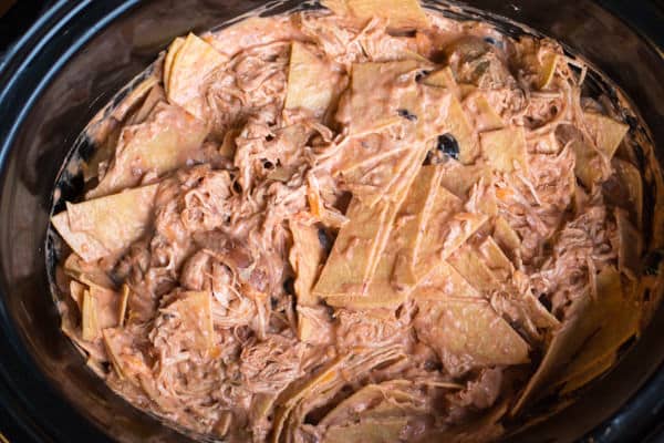 Mixed together tortillas, shredded chicken and sauce in slow cooker.