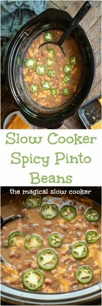slow cooker spicy pinto beans