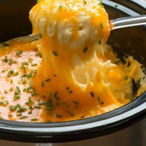 close up of cheesy mashed potatoes