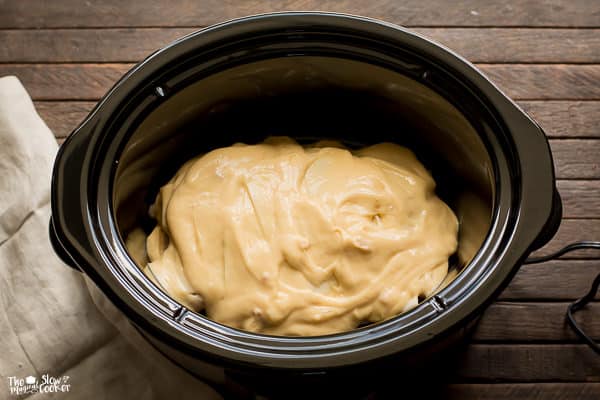 Cream of chicken and soup mixture on top of chicken and cheese in slow cooker