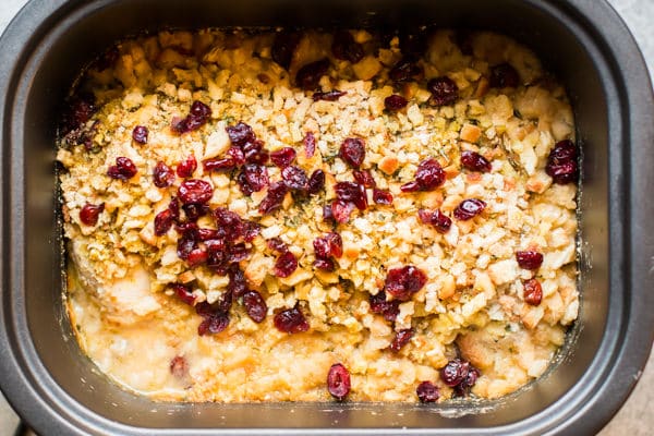 close up of chicken, gravy, stuffing and dried cranberries