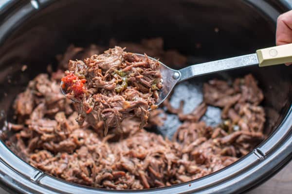 shredded mexican beef on a spoon coming from a slow cooker.
