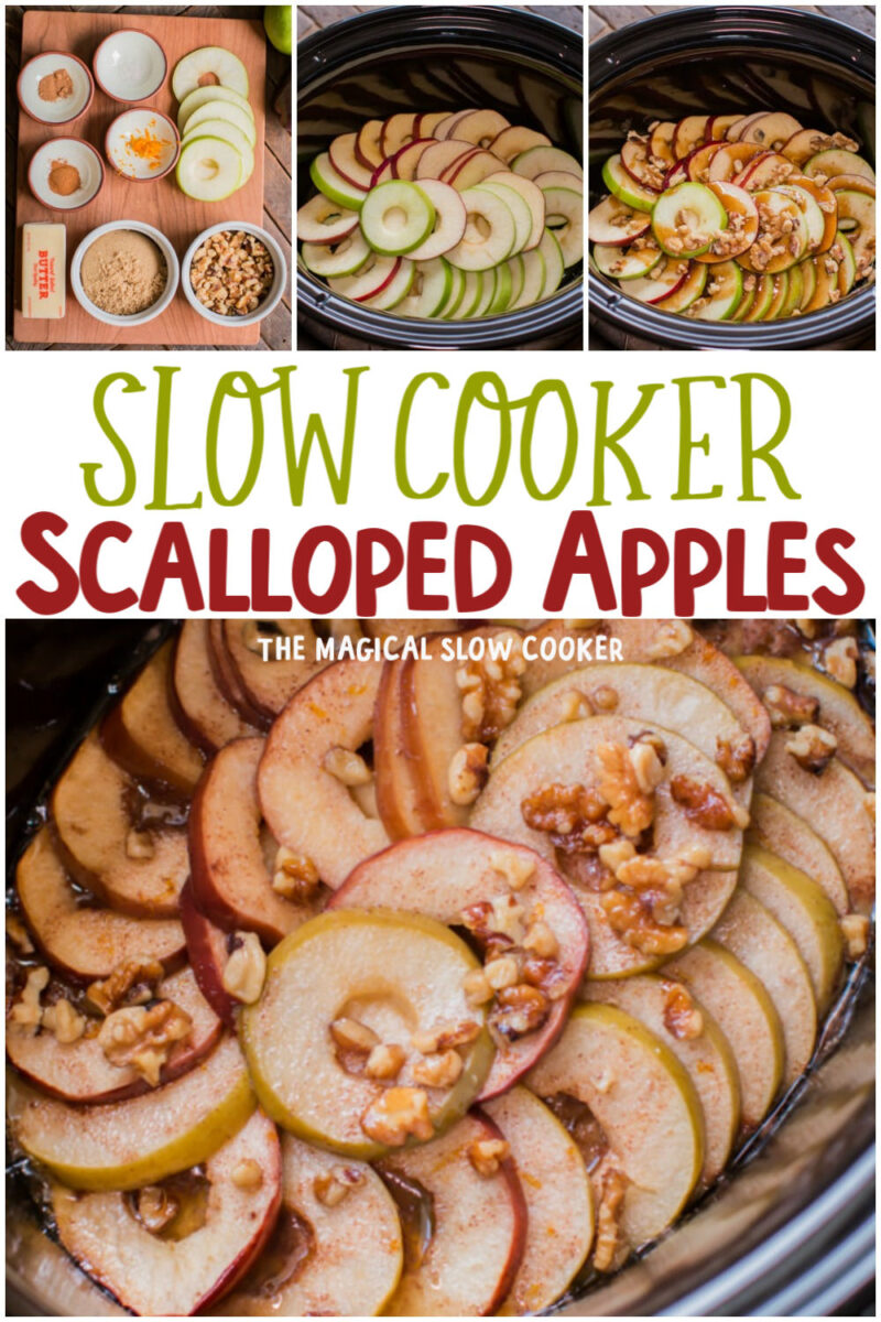 collage of scalloped apple recipes for pinterest