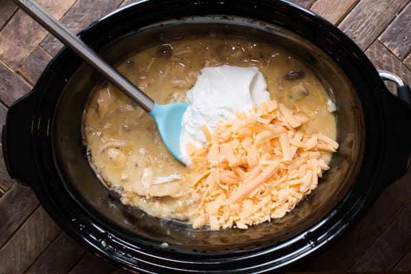 cream sauce, sour cream and cheese in a slow cooker.