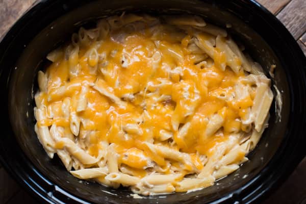 Penne pasta in cream sauce with cheese on top.
