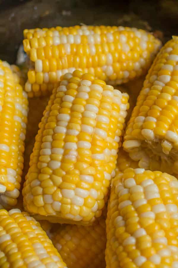 close up of corn on the cob in slow cooker, cooked