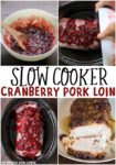 Slow Cooker Cranberry Pork Loin - The Magical Slow Cooker