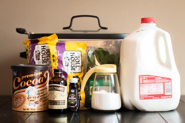 cocoa powder, chocolate chips sugar, mint extract, mint leaves and milk in front of slow cooker.