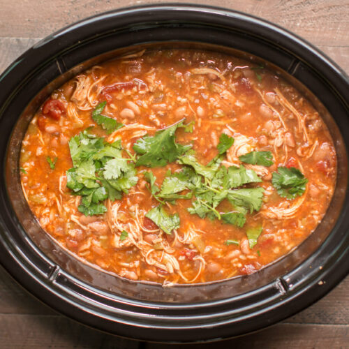 Slow Cooker Mexican Chicken Soup - The Magical Slow Cooker