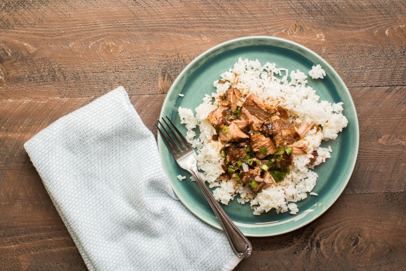 teal plate with rice and shredded ribs