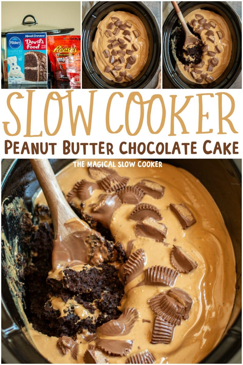 collage of peanut butter chocolate cake for pinterest