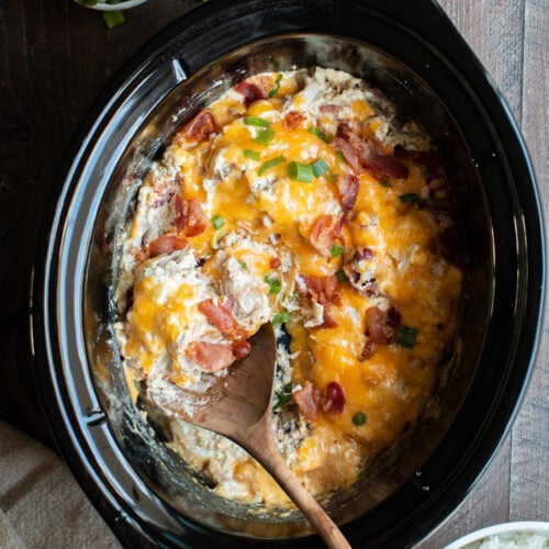 shredded creamy chicken with bacon and cheese on top.