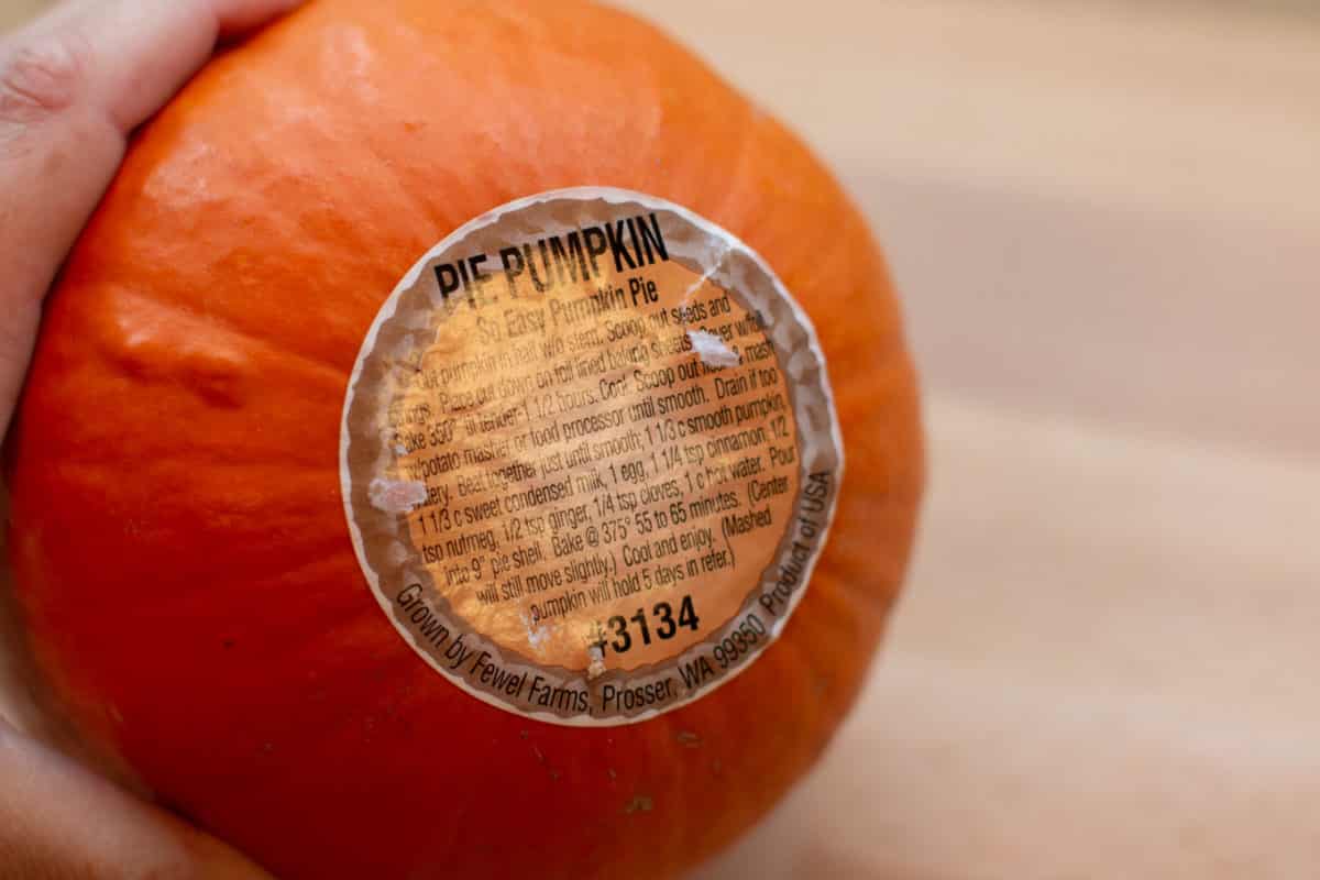 close up of bottom of pumpkin. A Sticker with a pie recipe.