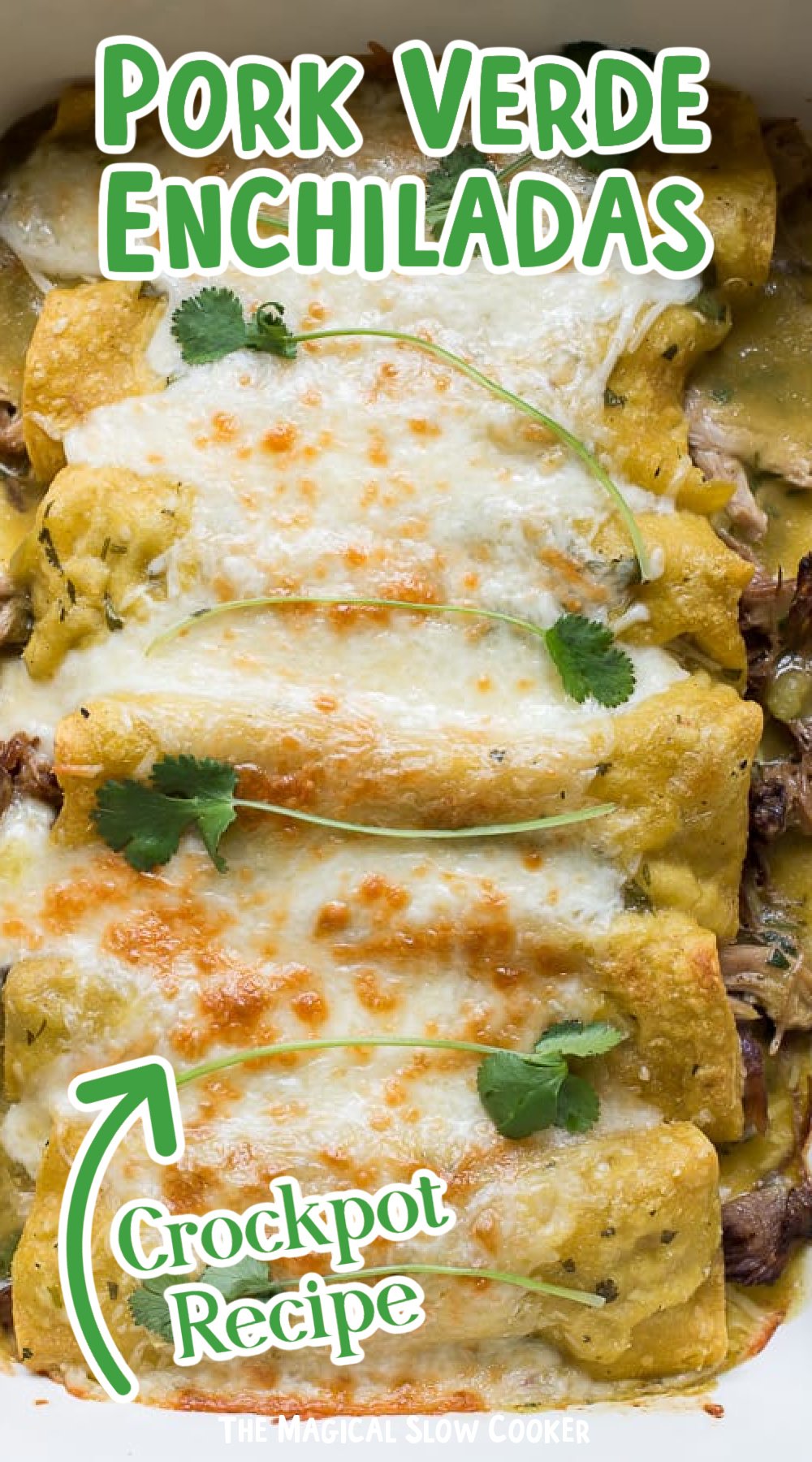 pork verde enchiladas in a 9x13 pan.