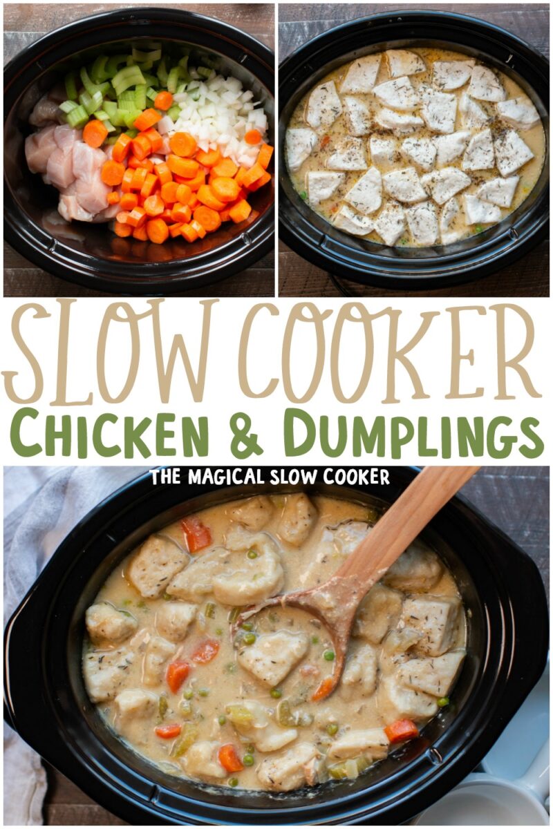 collage of chicken and dumpling photos for pinterest