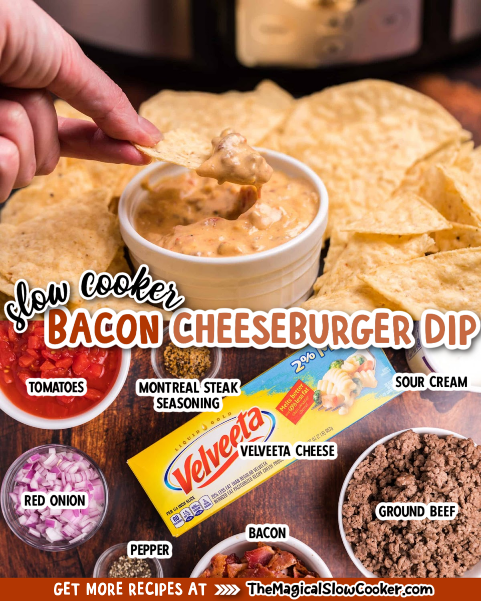 Bacon Cheeseburger Crock Pot Dip - Recipes That Crock!