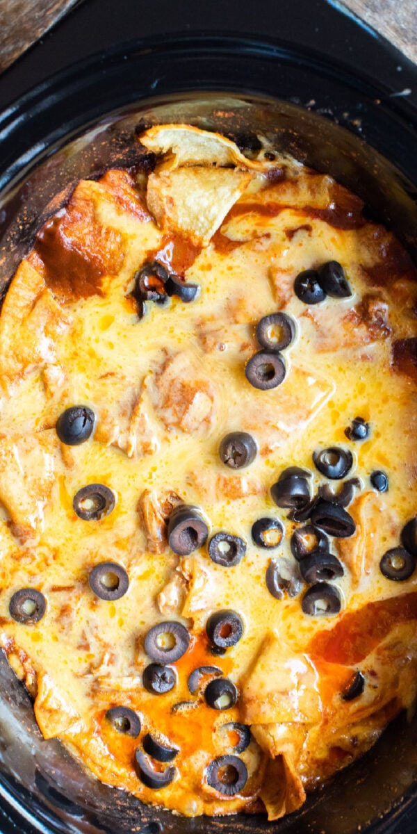 close up of enchilada casserole with olives and cheese on top.
