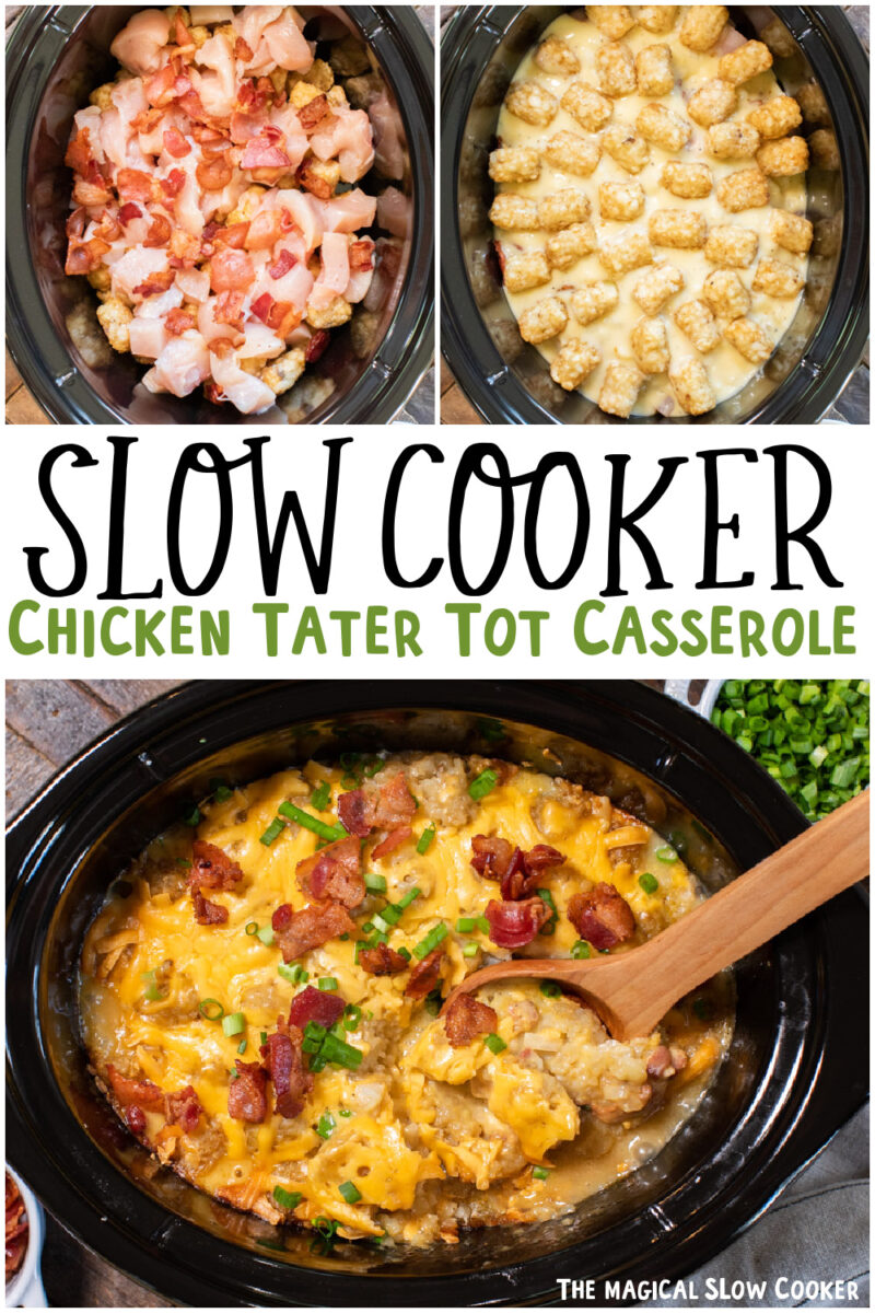 collage of chicken tater tot casserole images for pinterest