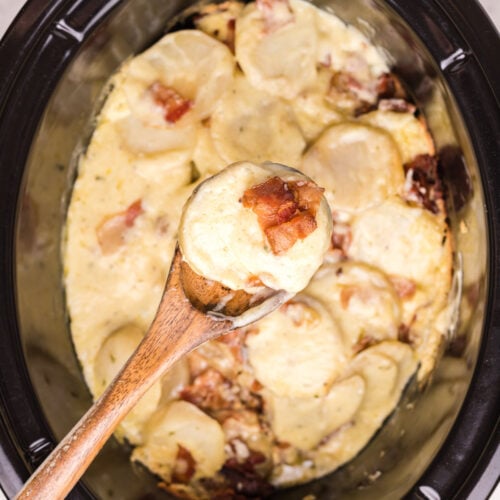 scalloped potatoes on spoon