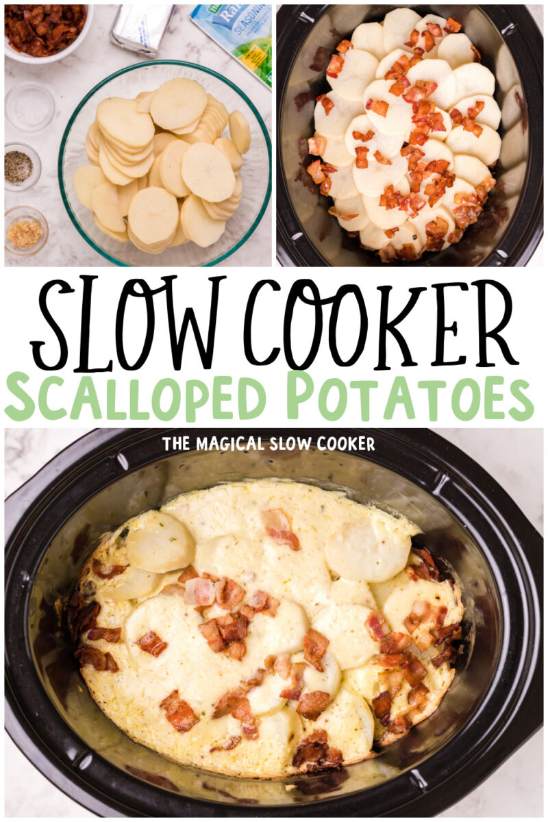 collage of scalloped potatoes with text overlay for pinterest