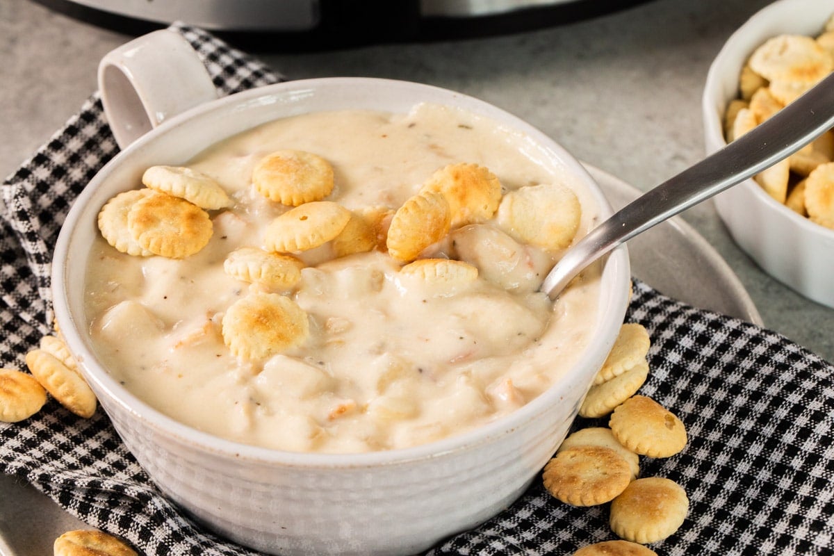 close up of bowl of clam chowder