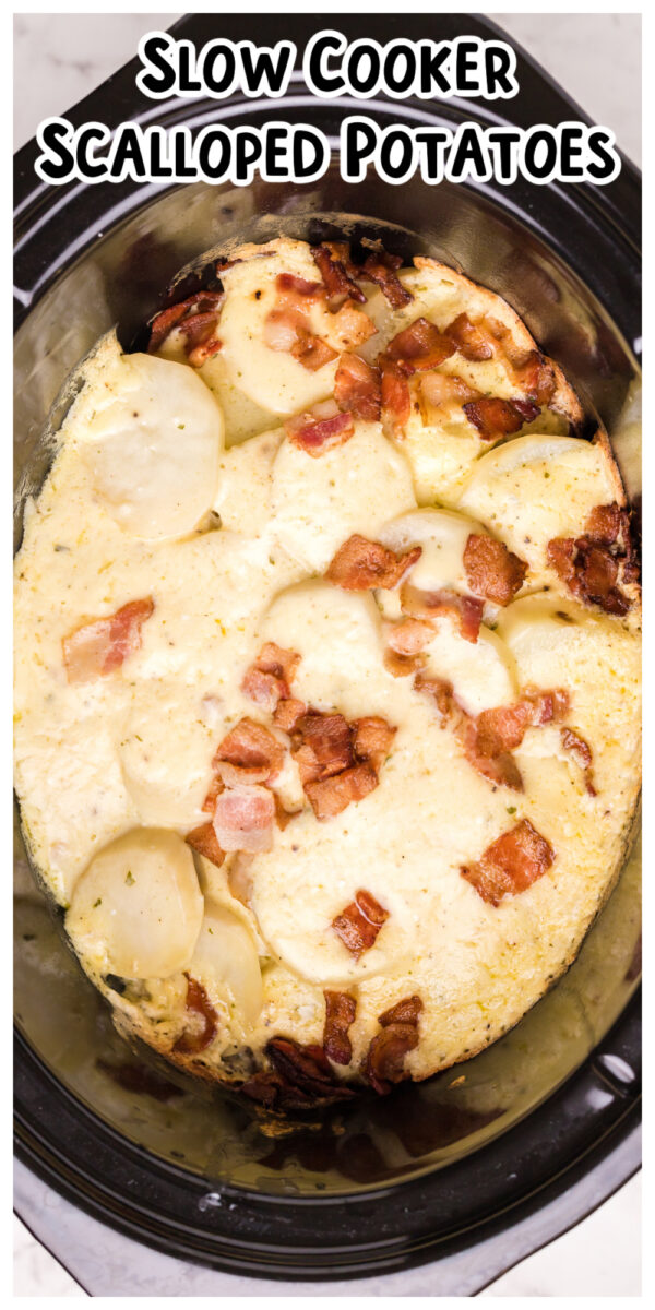 Crockpot Scalloped Potatoes {Easy & Creamy!} –