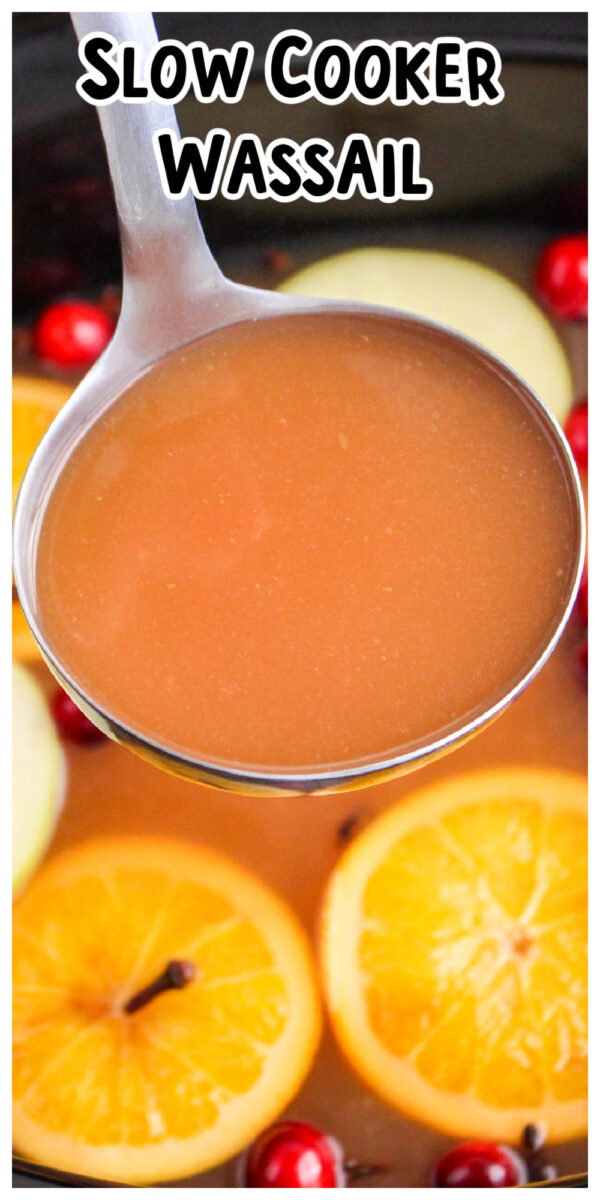 Slow Cooker Hot Wassail Recipe - TheMamasGirls