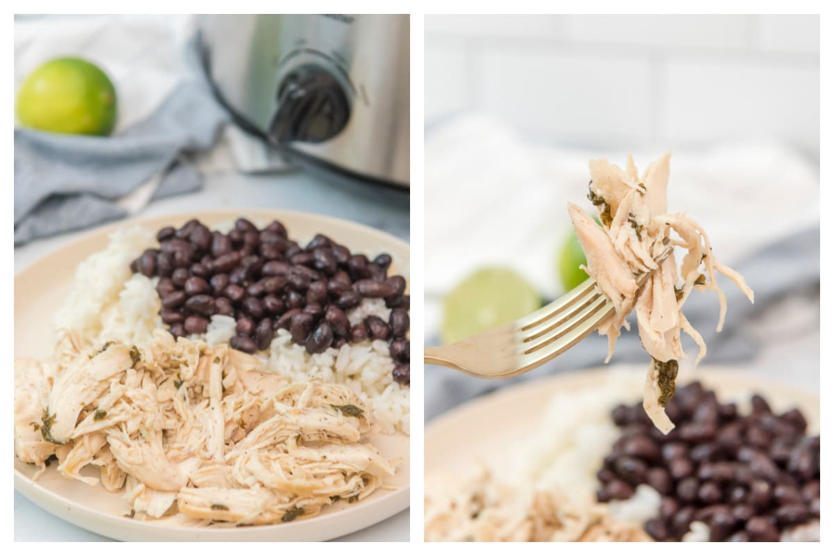 cilantro lime chicken on plate and on fork