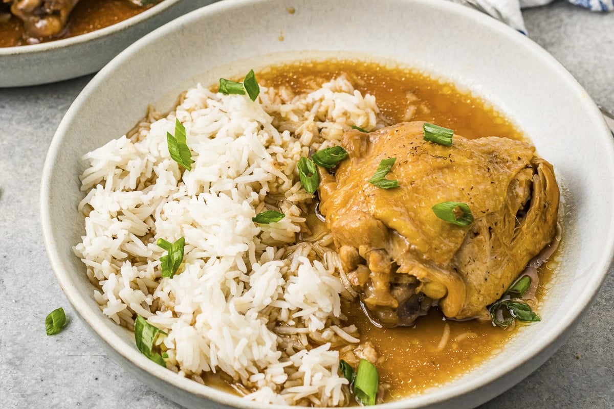 Plate of chicken adobo with rice and green onions