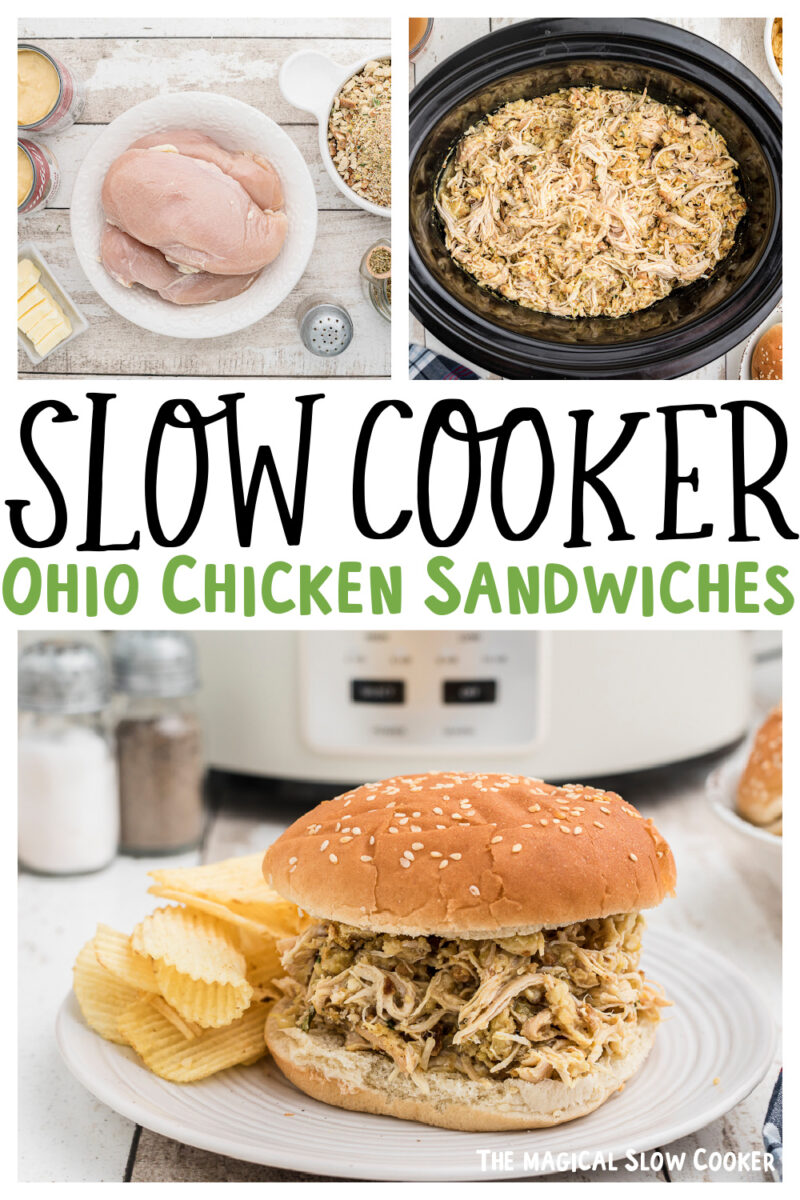 collage of ohio chicken sandwich images with text overlay for pinterest