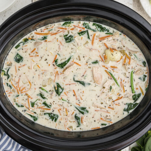 chicken gnocchi soup over head shot in crockpot.