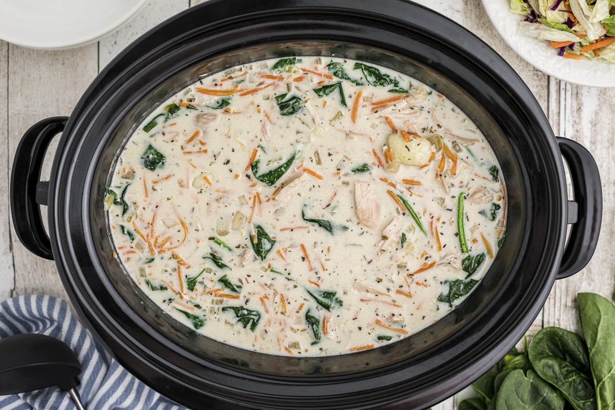 chicken gnocchi soup over head shot in crockpot.