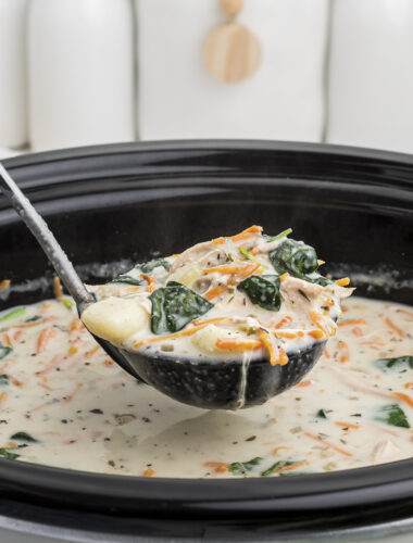 ladle full of chicken gnocchi soup.