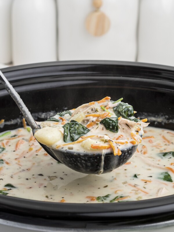 ladle full of chicken gnocchi soup.