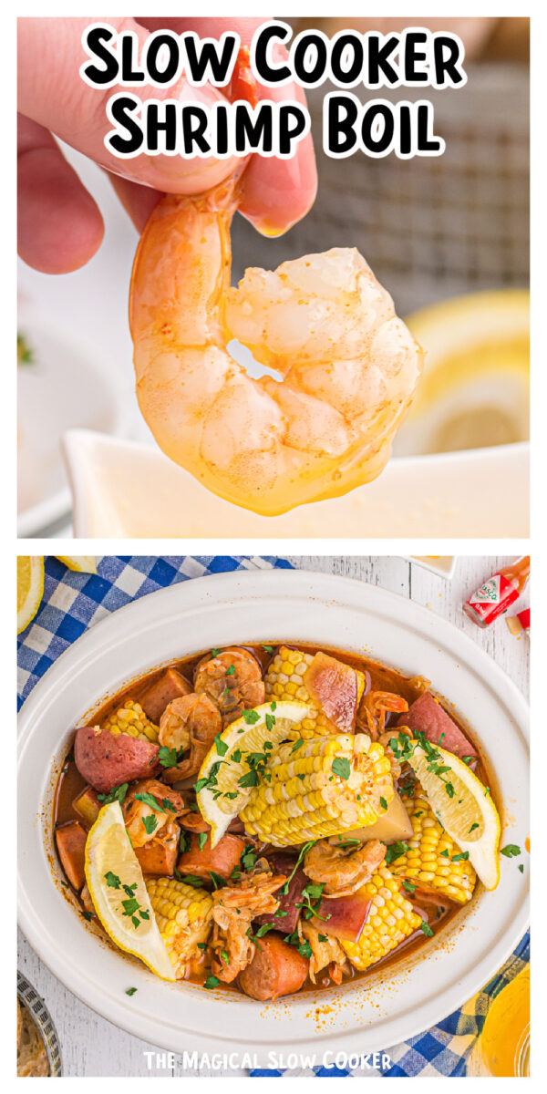 long image of shrimp boil with text for pinterest.