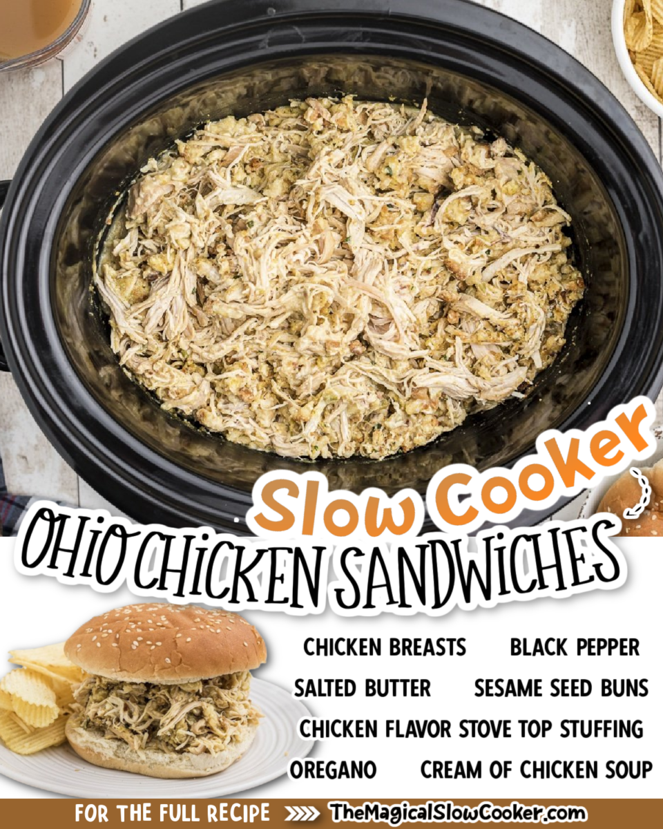 Shredded Ohio Chicken Sandwiches (Crockpot) - The Magical Slow Cooker