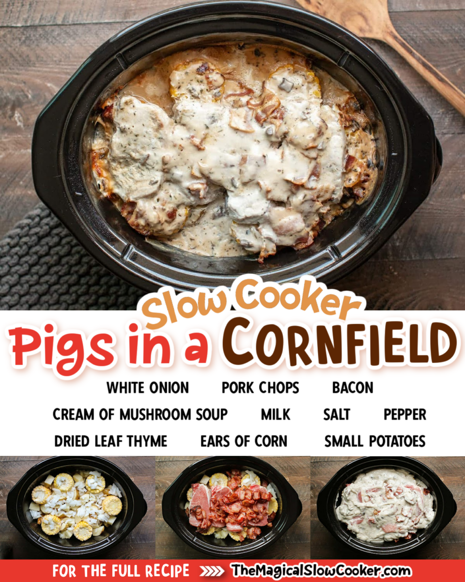Collage of pigs in a cornfield images with text of what ingredients are.