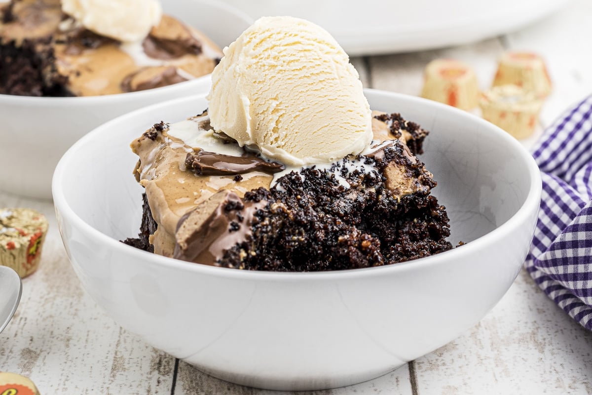 bowl of peanut butter chocolate cake.