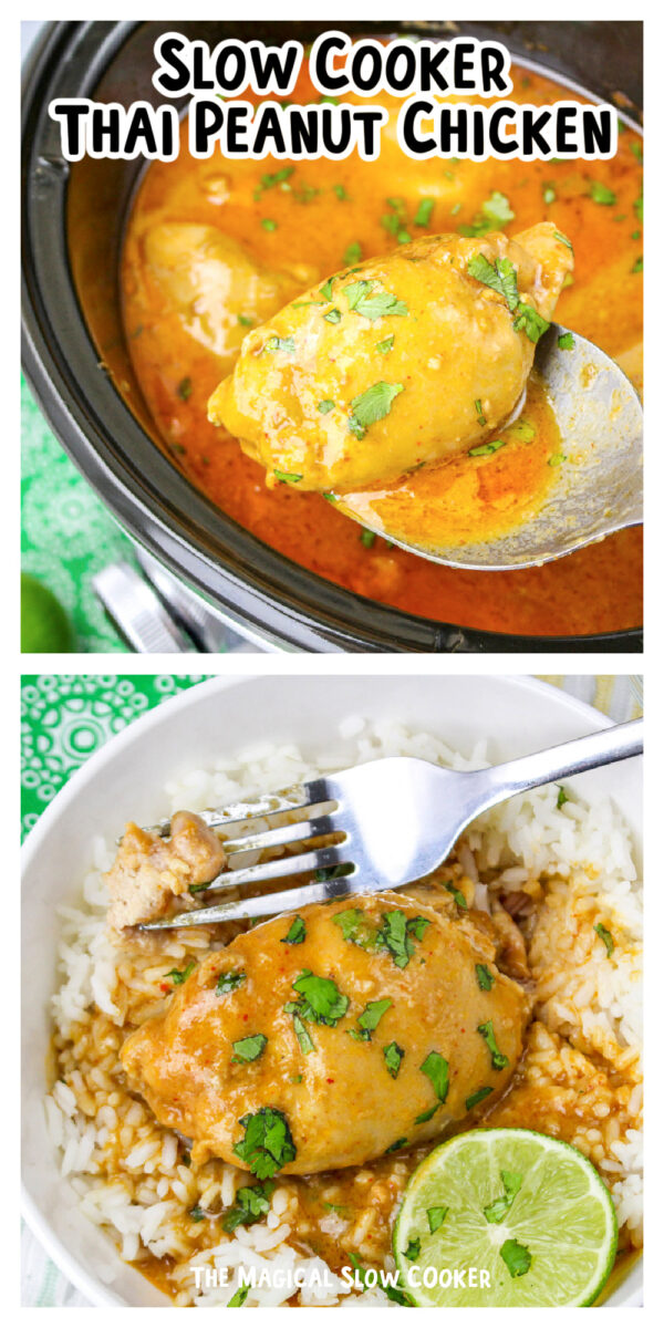 Long image of thai peanut chicken for pinterest.