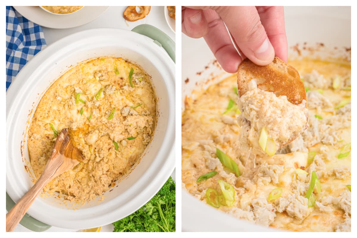 Slow Cooker Crab Dip The Magical Slow Cooker