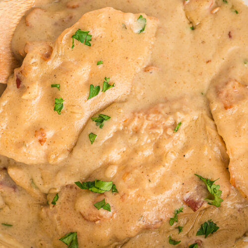 close up of smothered chicken in slow cooker.