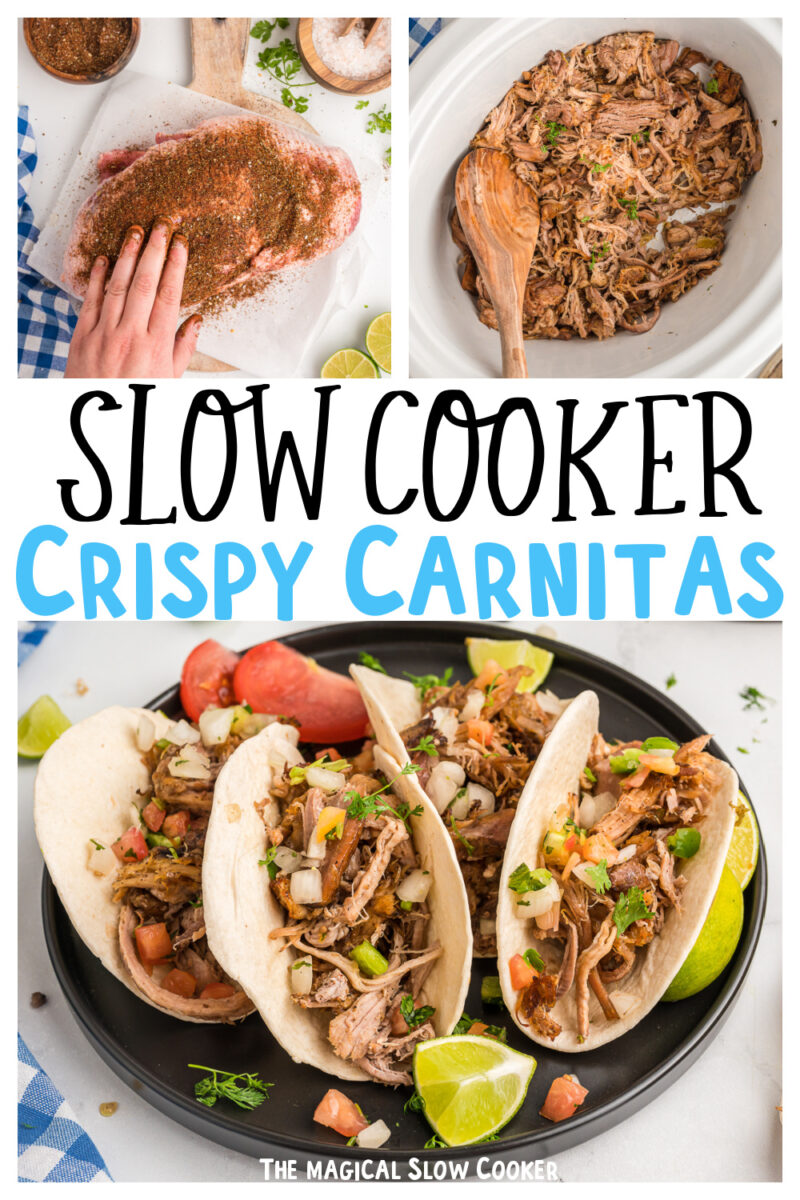 collage of carnitas images with text for pinterest.