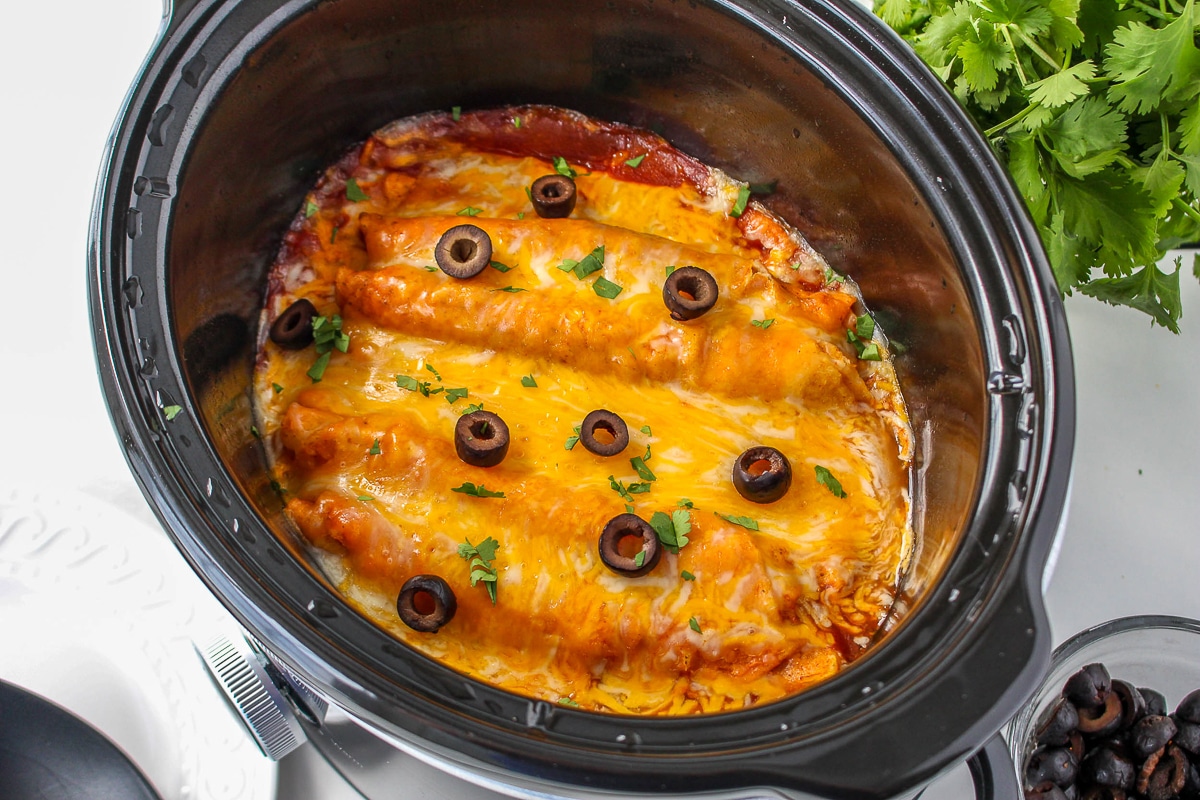 Olives and cilantro over the taquito enchiladas.