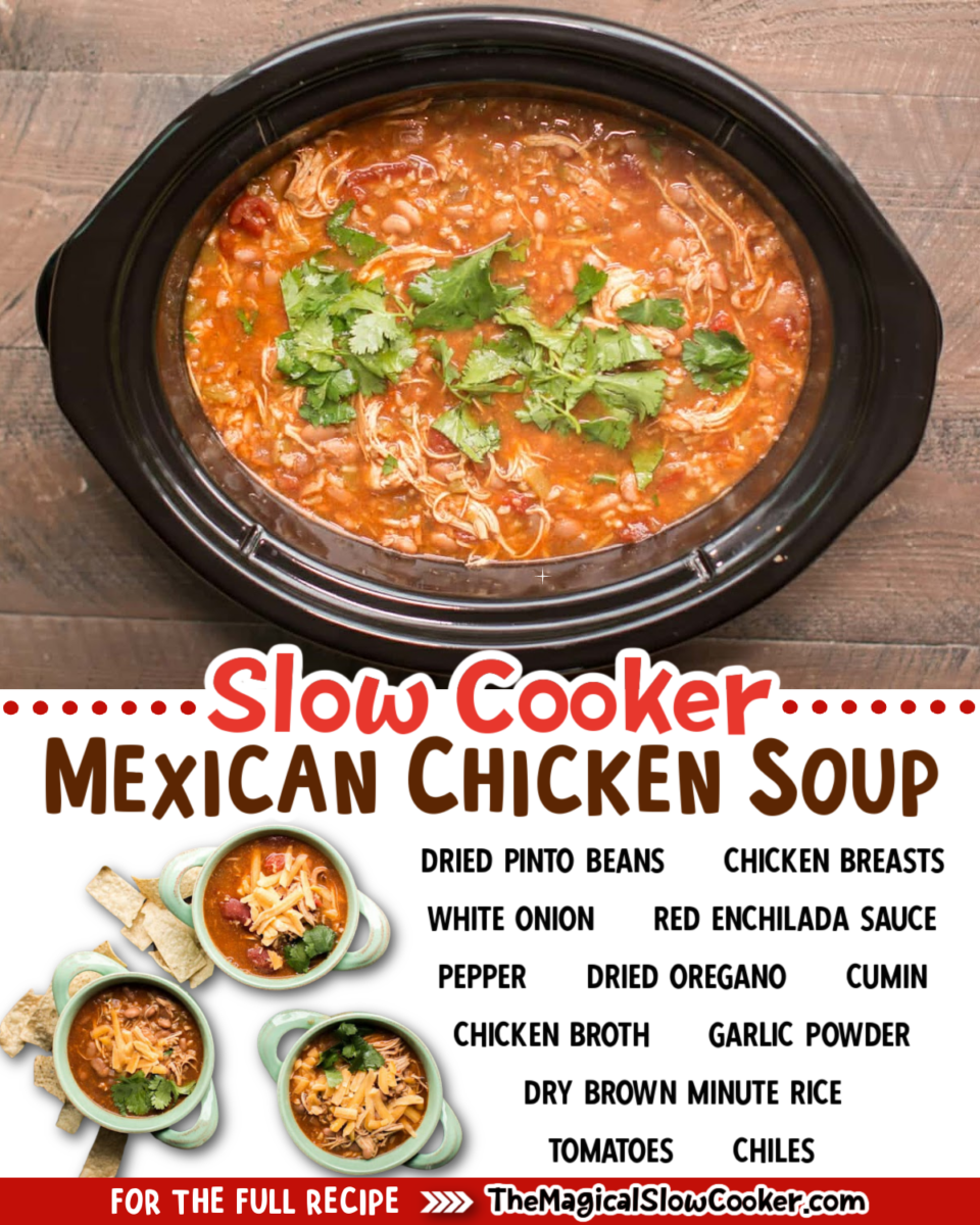 Crockpot Mexican Chicken Soup • Salt & Lavender