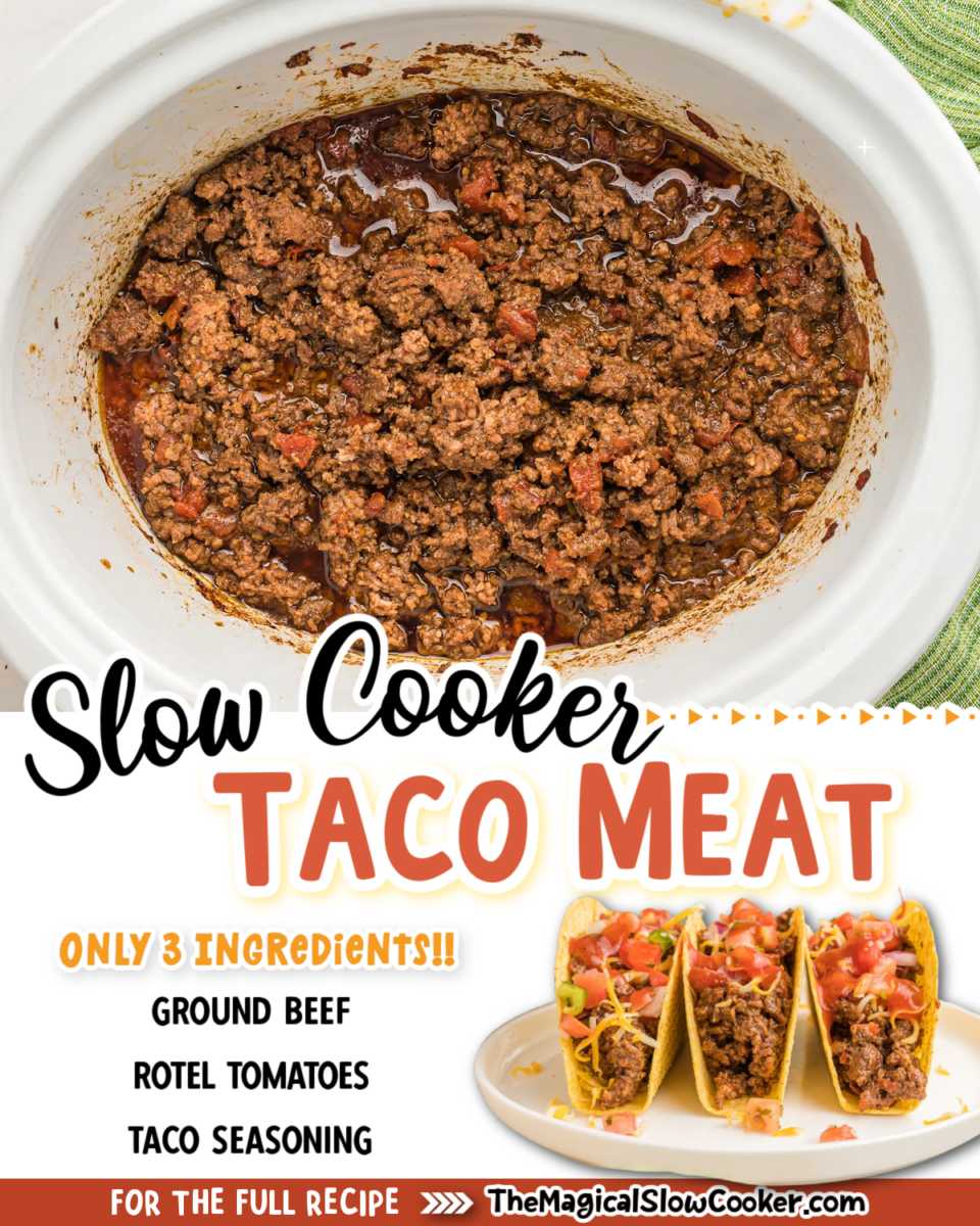 collage of taco meat images with text of ingredients for pinterest or facebook.