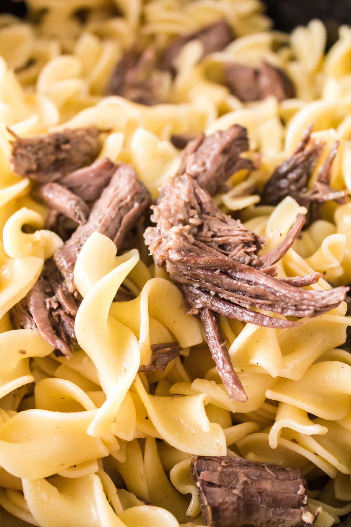 close up of beef and egg noodles in a slow cooker.